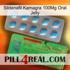 Sildenafil Kamagra 100Mg Oral Jelly new03